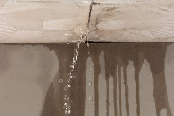 Professional Water Damage Restoration technician working in Pandora, OH